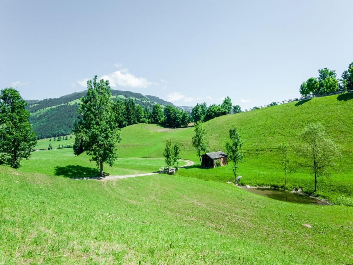 Cosy Flat In Westendorf In Tyrol Holzham Ngoại thất bức ảnh